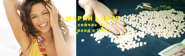 прущие грибы Армянск