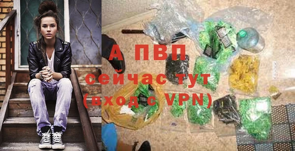 спайс Арсеньев