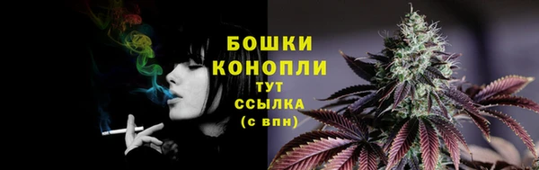 прущие грибы Армянск