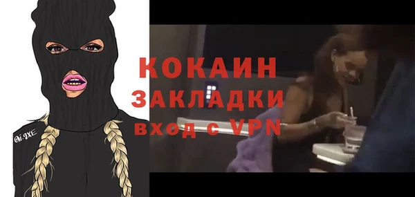 спайс Арсеньев