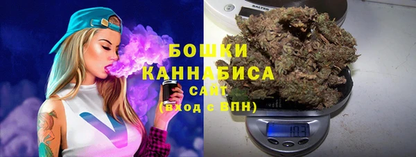 прущие грибы Армянск
